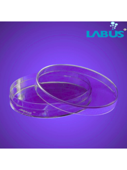 PL PETRI DISH ( CULTURE )
